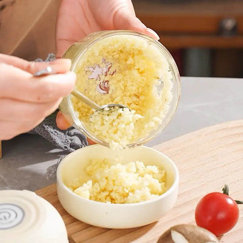 Electric Mini Food Chopper-300ml, 4-Blade Electric Processor