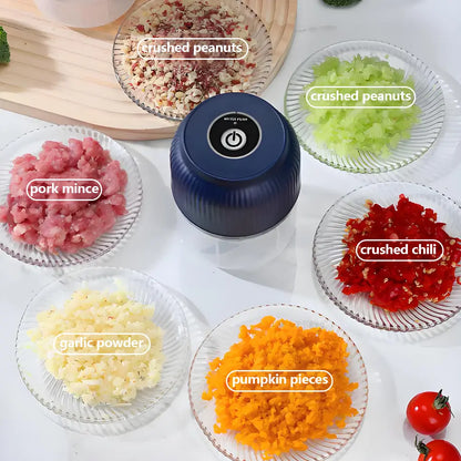 Electric Mini Food Chopper-300ml, 4-Blade Electric Processor
